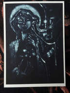 The Guide (5 x 7)